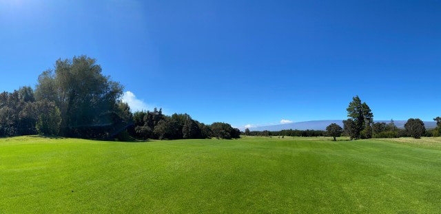 Golf course fairway lined with trees