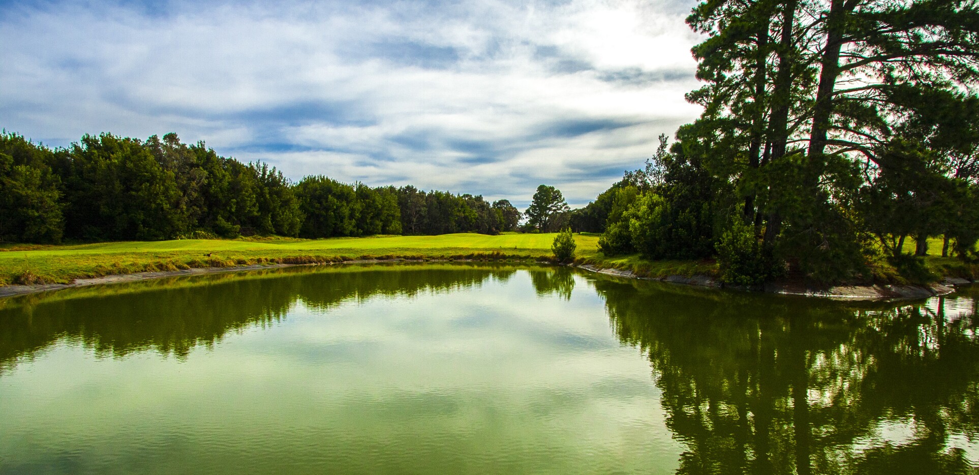 Pond on golf course