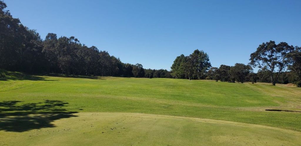 Fairway of golf course