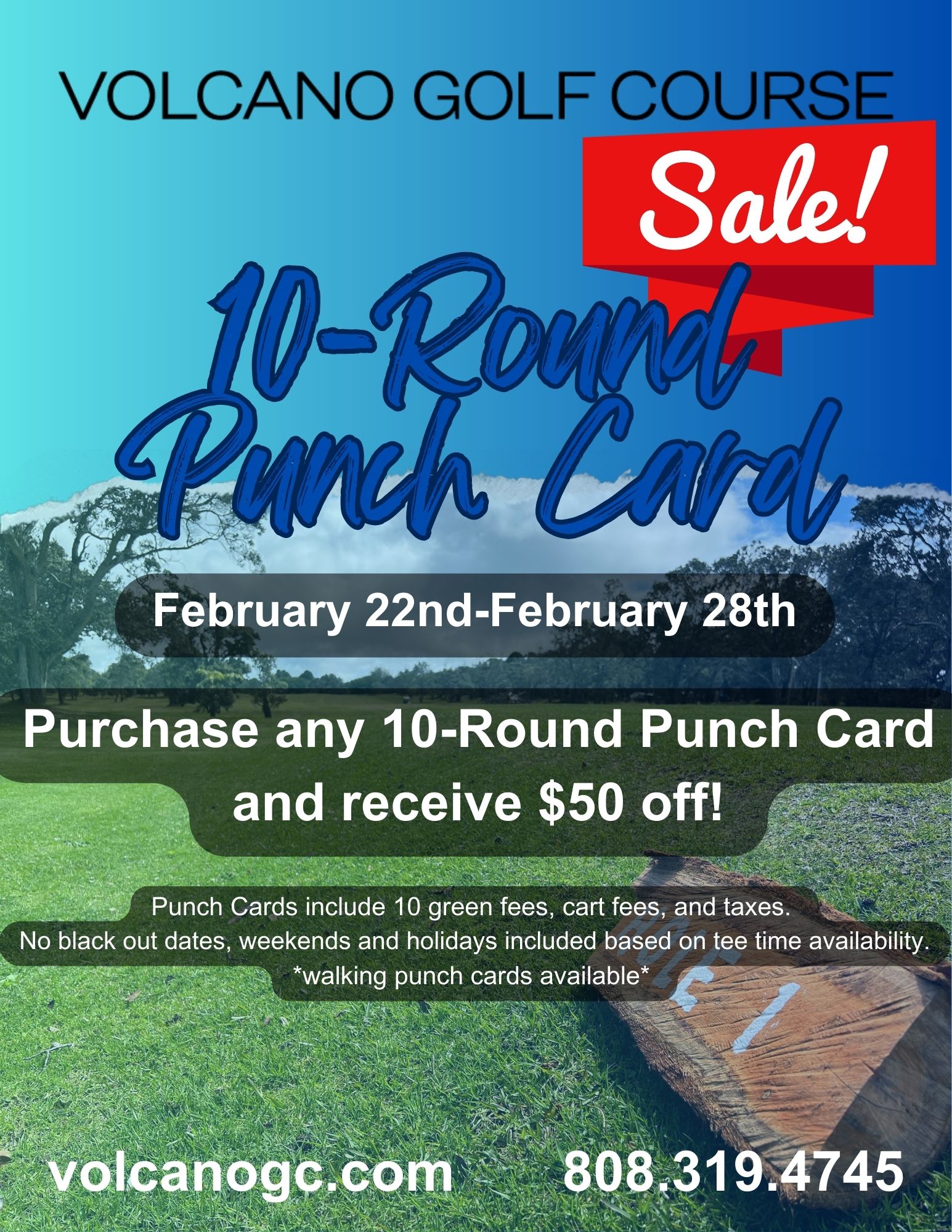 10 round punch cards Sale
